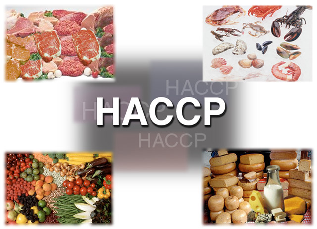 haccp corso